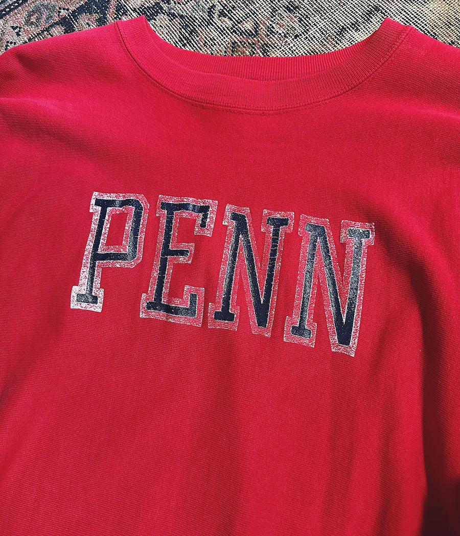Vintage Champion Reverse Weave Penn Sweatshirt – XL