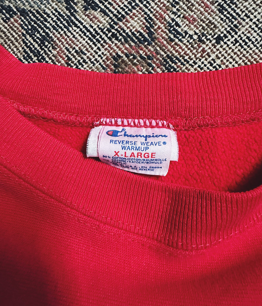 Vintage Champion Reverse Weave Penn Sweatshirt – XL